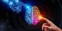 این حیوانات نابغه‌های کره زمین هستند+ تصاویر