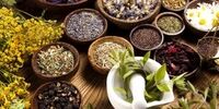 گیاهانی برای تنظیم هورمون های بدن