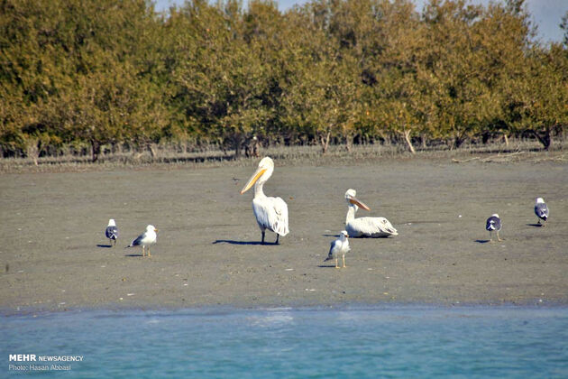 3776495_photo_2021-05-21_02-54-08-2-