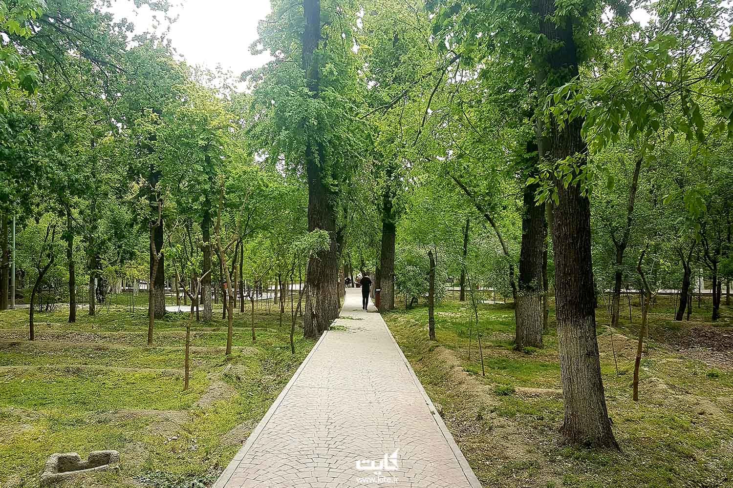 ماجرای یک میراث سههزار ساله در قیطریه تهران