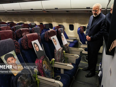 تصاویر| حال و هوای متفاوت هواپیمای حامل هیئت مذاکره کننده ایران