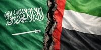 پشت پرده خروج امارات از اوپک به روایت رویترز/ اختلافات میان ریاض و ابوظبی علنی شده است