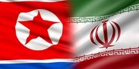 ایران 700 میلیون دلار کالا از کره شمالی خرید