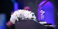 فهرست ریالی جوایز جشنواره فیلم فجر از ۱۳۹٨ تا ۱۴۰۰ / افزایش چشمگیر رقم جوایز در جشنواره امسال