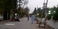 واکنش متفاوت نماینده تهران از حضور طالبان در سفارت ایران در دوحه
