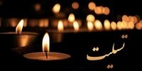 سعید لیلاز و افشین امیرشاهی عزادار شدند