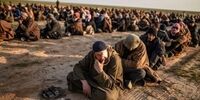 داعش در حمله به غرب بغداد 11 نفر را کشت
