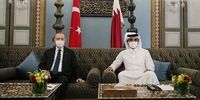 جزئیات دیدار اردوغان و امیر قطر