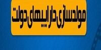 از زمین های چندمیلیون متر مربعی تا ساختمان سازمان دامپزشکی برای فروش یا تهاتر!/انتشار لیست اموال دولتی مشمول مولدسازی
