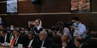 وزیر نفت خبر داد: تلاش دولت برای افزایش روابط تجاری با روسیه
