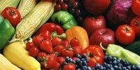 اختصاص یارانه سوخت برای هواپیماهای حامل محصولات کشاورزی