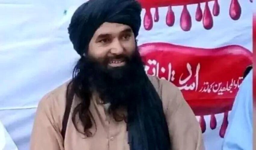 یک سرکرده ارشد طالبان پاکستان کشته شد/ قاری امجد که بود؟