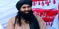 یک سرکرده ارشد طالبان پاکستان کشته شد/ قاری امجد که بود؟