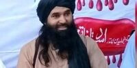 یک سرکرده ارشد طالبان پاکستان کشته شد/ قاری امجد که بود؟
