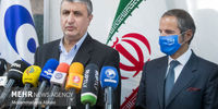 گروسی با رئیس سازمان انرژی اتمی ایران دیدار می‌کند