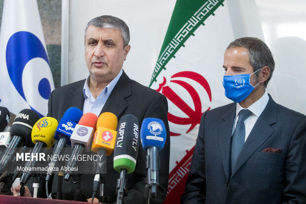 گروسی با رئیس سازمان انرژی اتمی ایران دیدار می‌کند