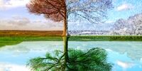 فصل مناسب برای اجاره مسکن کدام است؟