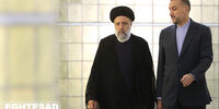 پیام تسلیت وزیرخارجه اتریش در پی سقوط بالگرد سید ابراهیم رئیسی و شهادت امیرعبداللهیان 