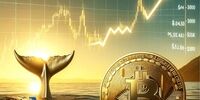 استخراج غیرمجاز رمز ارز جریمه سنگین دارد