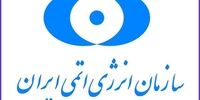توضیح سازمان انرژی اتمی درباره  بیانیه مشترک ایران و آژانس