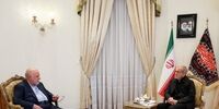 دیدار زنگنه با رئیس جمهور منتخب/ جمهوری اسلامی ایران ظرفیت‌های متنوع و متعددی دارد 