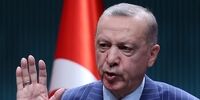 انتقاد معاون سابق ناتو ازگروگان گیری اردوغان!
