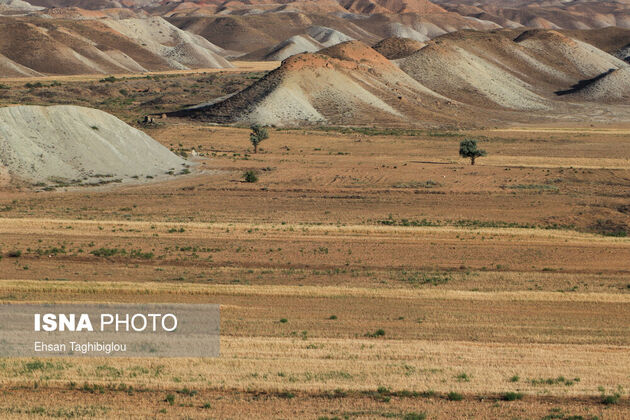 61968531_taghi-beygloo-isna-8