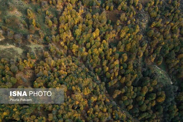 62073691_DJI_0444