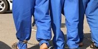 یک باند شرکت هرمی متلاشی شد/ 18 نفر بازداشت شدند
