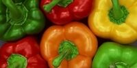 نامه نگاری ایران و روسیه بر سر صادرات فلفل دلمه ای