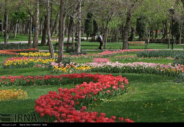 جشنواره گل ها در مشهد