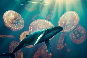 سیگنال ریزش قیمت بیت کوین به نهنگ‌ها | پیش بینی شلوغ‌ترین هفته سال ۲۰۲۵ برای تراکنش‌های بزرگ