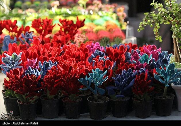 نمایشگاه گل همدان