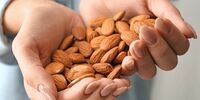 این آجیل محبوب هم ضد چربی است و هم کلسترول را کم می کند