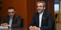 باقری: فضای داخل گفت‌وگوها جدی است