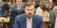  اجرای موثر برنامه‌های همکاری آژانس از سوی ایران 