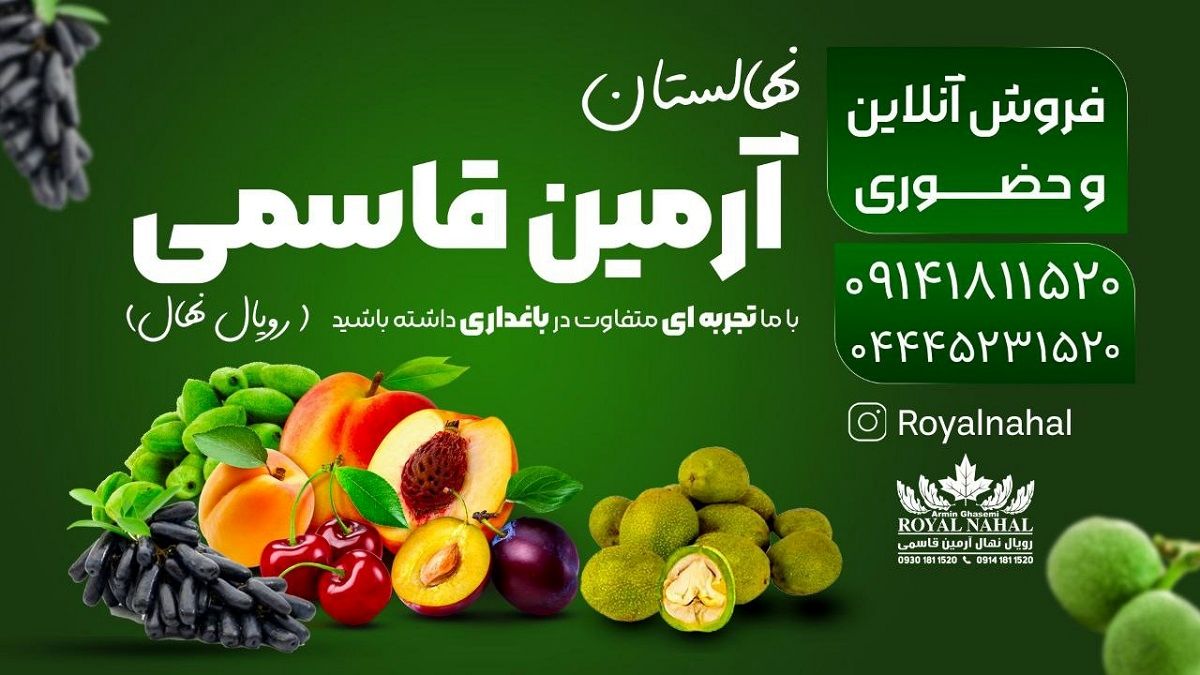 فروش ویژه رویال نهال، تخفیف های باورنکردنی فقط تا 25 اسفند