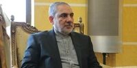واکنش سفیر ایران در یمن به اعتراضات اخیر آمریکا