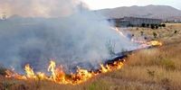 مهار آتش‌سوزی در مراتع دماوند با وسعت 50 هکتار
