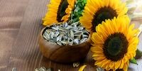 تخمه آفتابگردان شکستن به این دلیل مهم ممنوع!