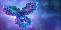 ۹ نکته مهم کرونایی در آستانه فصل سرما!