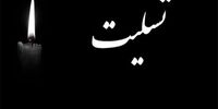 عارف به احمدی‌نژاد پیام داد