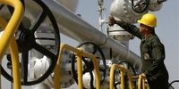 حمله سایبری به شرکت ملی گاز ایران؟