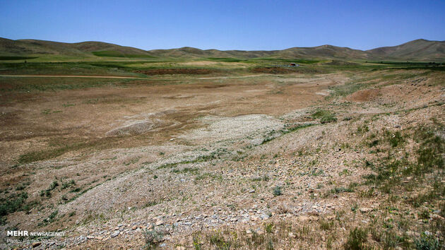 3766102_IMG_1977