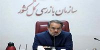 خیانت تراستی‌ها به روایت رئیس سازمان بازرسی | یک تراستی ۲۰۰ میلیون دلار از سرمایه کشور را برنگرداند و از کشور هم خارج شد | دلالان با کارت‌های بازرگانی اجاره‌ای صادرات انجام می‌دهند