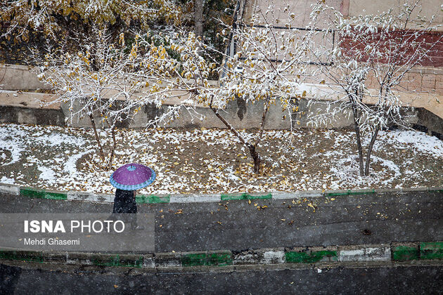 نخستین برف پاییزی تهران