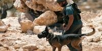 حملات نظامیان اسرائیل به نمازگزاران فلسطینی در قدس اشغالی