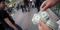  ۱۳ دلال ارزی به دام پلیس افتادند