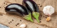 روشی ساده برای تشخیص بادمجان تلخ و شیرین