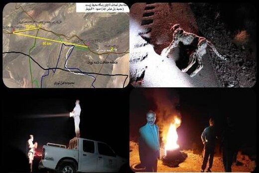 تصادف یک یوزپلنگ ایرانی با خودرو+ عکس
